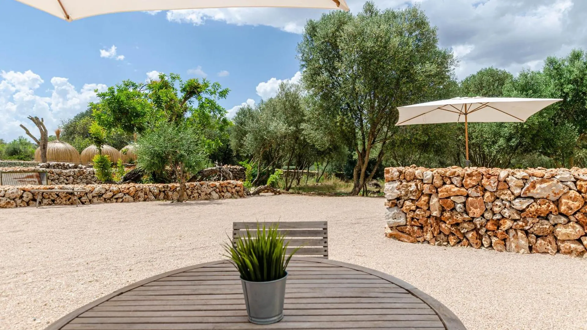 Agroturismo Cal Tio 3 Yourhouse Costitx  Costitx (Mallorca)